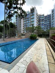Changi Rise Condominium (D18), Condominium #503014801